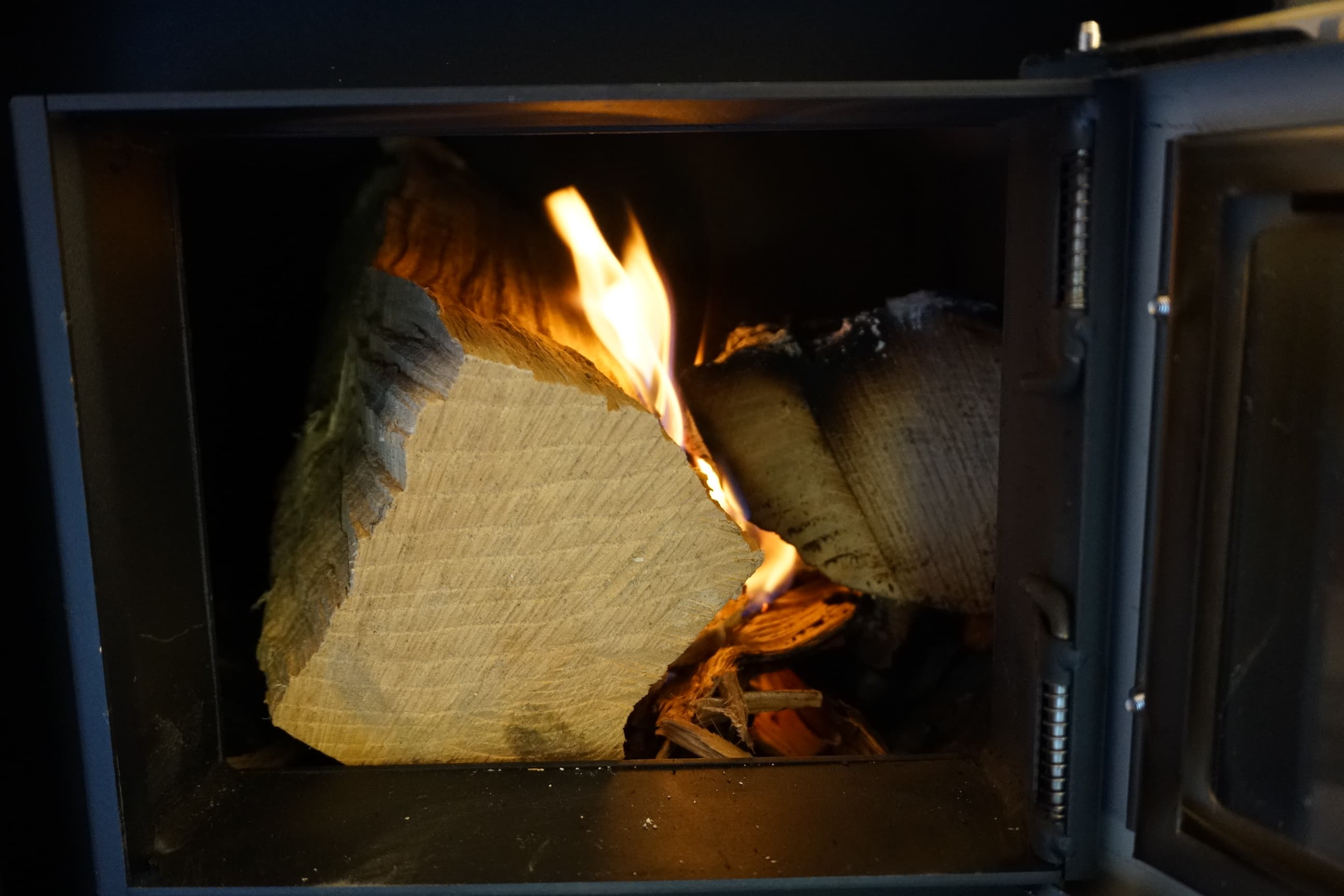 Bryan Johnson, Finnish Studies, and Why Most Research Is Messy